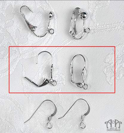 Earring Hooks Upgrade (Per Pair)